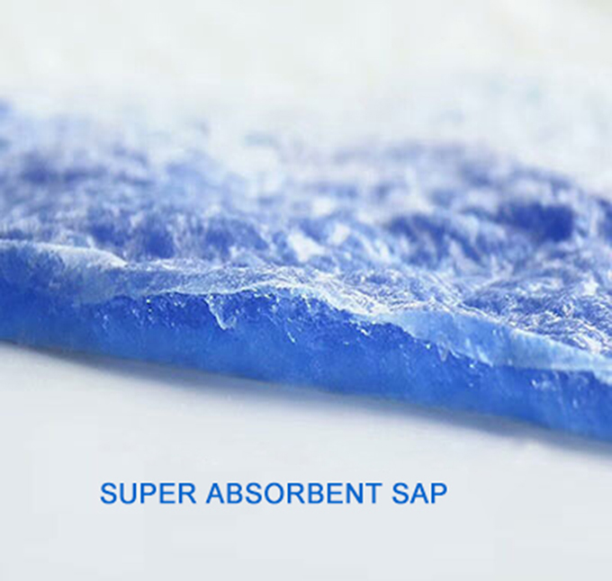 sap