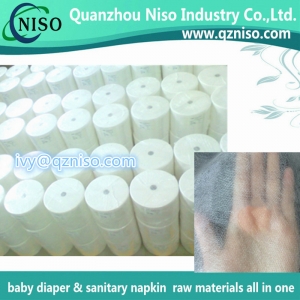 Hydrophilic nonwoven